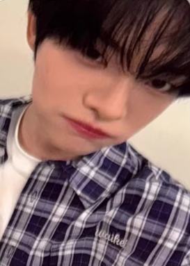 buffz预售3