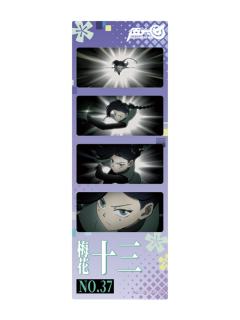 梅花十三2-梅花十三生日胶片套组