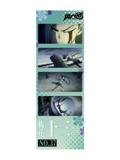 梅花十三1-梅花十三生日胶片套组