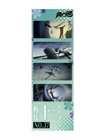 梅花十三1-梅花十三生日胶片套组