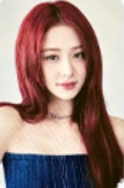 24日本fm随机卡 允 ver.A
