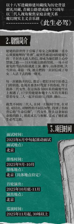 音乐剧《此生必驾》-资料图