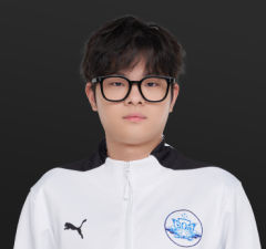 书白