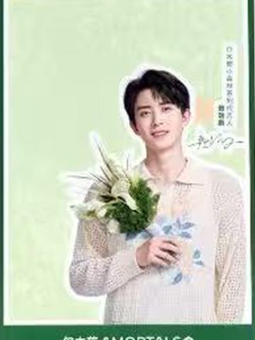 尔木萄透卡 ver.A
