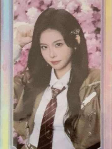 申雨鑫 不可替代闪卡