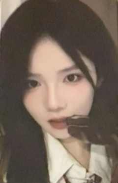 雷相菊 不可替代小卡 ver.B