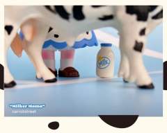 牧场哞哞-资料图