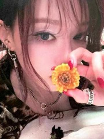 亚马逊限定case版专卡 冬