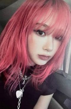 b&n限定case版专卡 梨