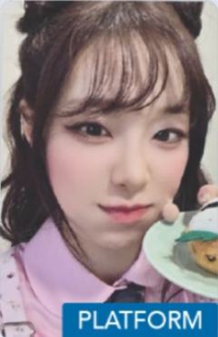 mr签售2.0 ver.A