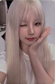 el2.0签售 琦 线上ver.