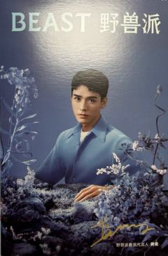 野兽派明信片 ver.D