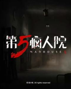 第五疯人院