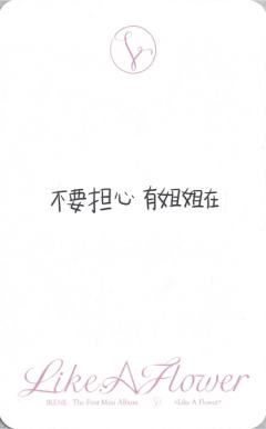 kpm预售 ver.B-资料图