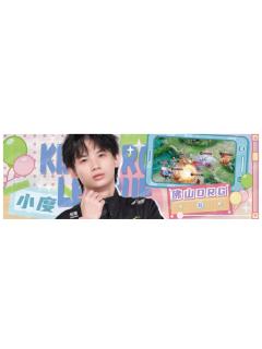 小度(所向披靡款)-星光STAR系列收藏纪念票(对抗路)