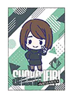 家入硝子-怀玉·玉折vivi限定特典明信片