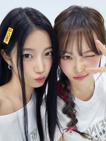 电子专A版专卡 采叶