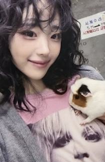 a版专卡hina ver.A