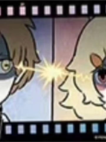 动画卡
