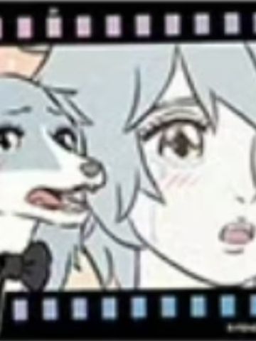 动画卡