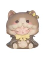 棕猫守护者