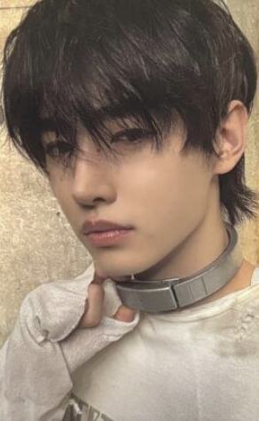 wvs预售4 单封ver.