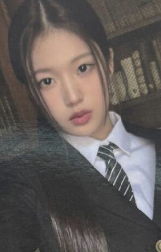 pp预售 囧