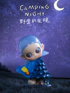 野营的夜晚