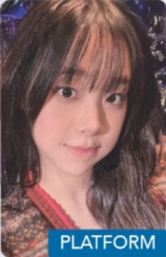 mr预售 ver.B