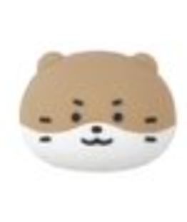 快闪磁铁 灿