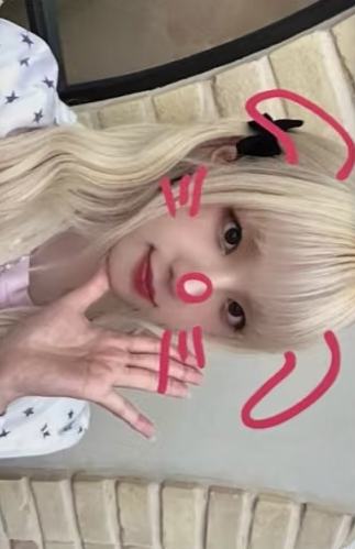 ms幸运卡 琦 宠物摄像头ver.