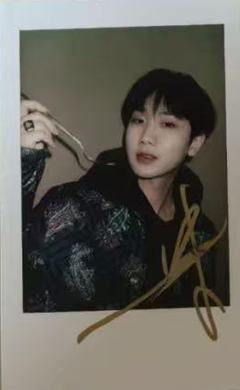 实验审美拍立得 ver.D