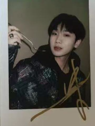 实验审美拍立得 ver.D