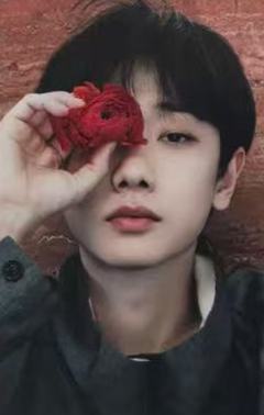 实验审美杂志卡 ver.A