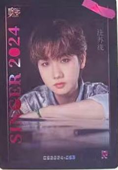 2024歌手典藏卡 ver.10