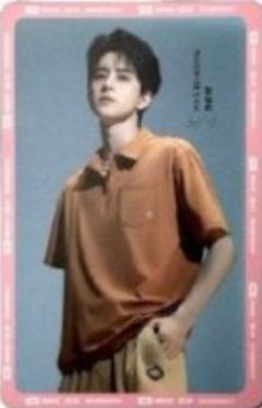 捷尼拉莫小卡 ver.D