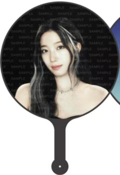 韩国场周扇子 叶