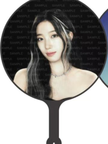 韩国场周扇子 叶