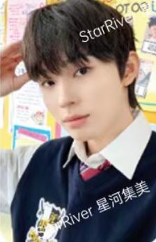 星河预售6