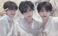 mini5银版专卡178