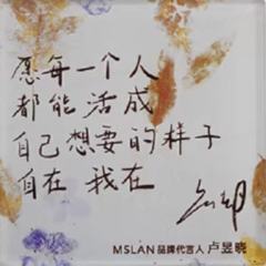 MSLAN冰箱贴-资料图