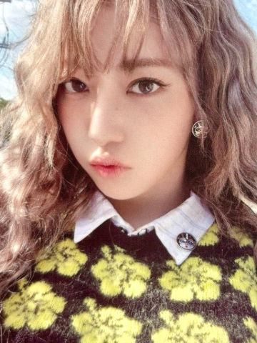 kakao预售 樱 ver.A