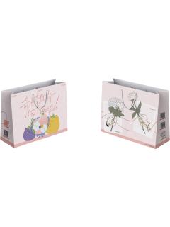 赵声阁＆陈挽-回信两周年纪念完结纸袋