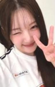 wvs特别礼 琳 ver.A