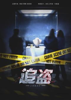 追盗