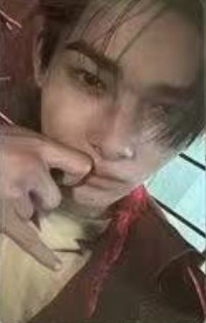 kakao预售7