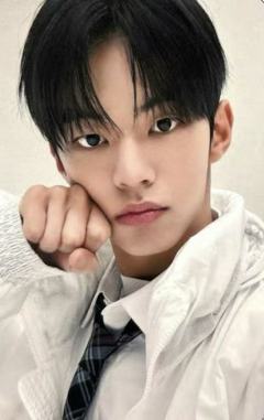 25fm日本随机卡2 ver.E