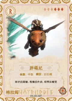 图鉴卡