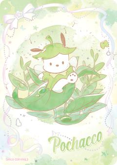 Pochacco