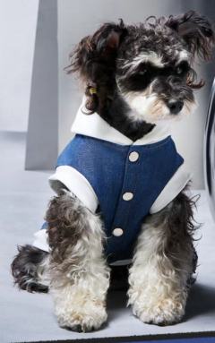 H-宠物衣-牛仔款